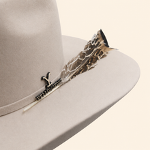 Bull Ranch 5x Estilo Walker