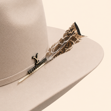 Bull Ranch 5x Estilo Walker Silverbelly