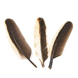 Pluma de Gallo Blanco Y Negro
