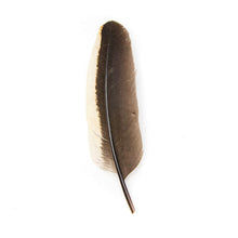 Pluma de Gallo Blanco Y Negro