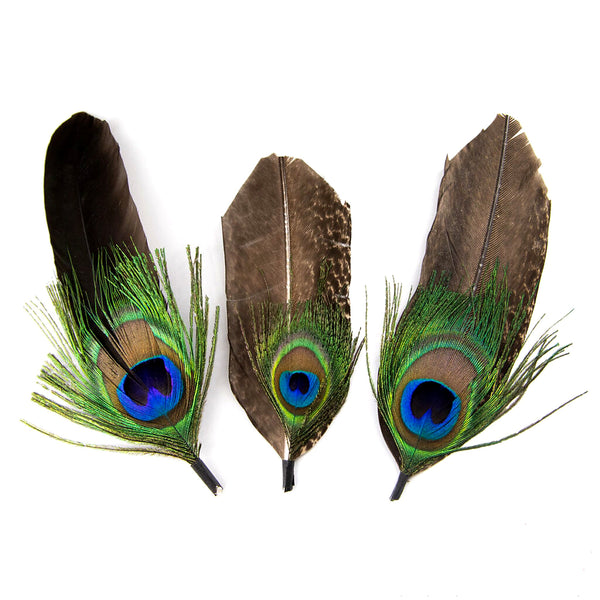 Pluma de Pavorreal Larga