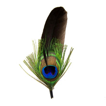 Pluma de Pavorreal Larga